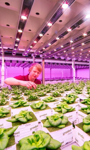 Brightlands Greenport Campus Venlo