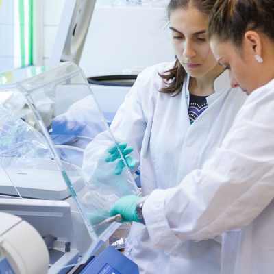 Health and Materials Chemelot Campus - International Conference